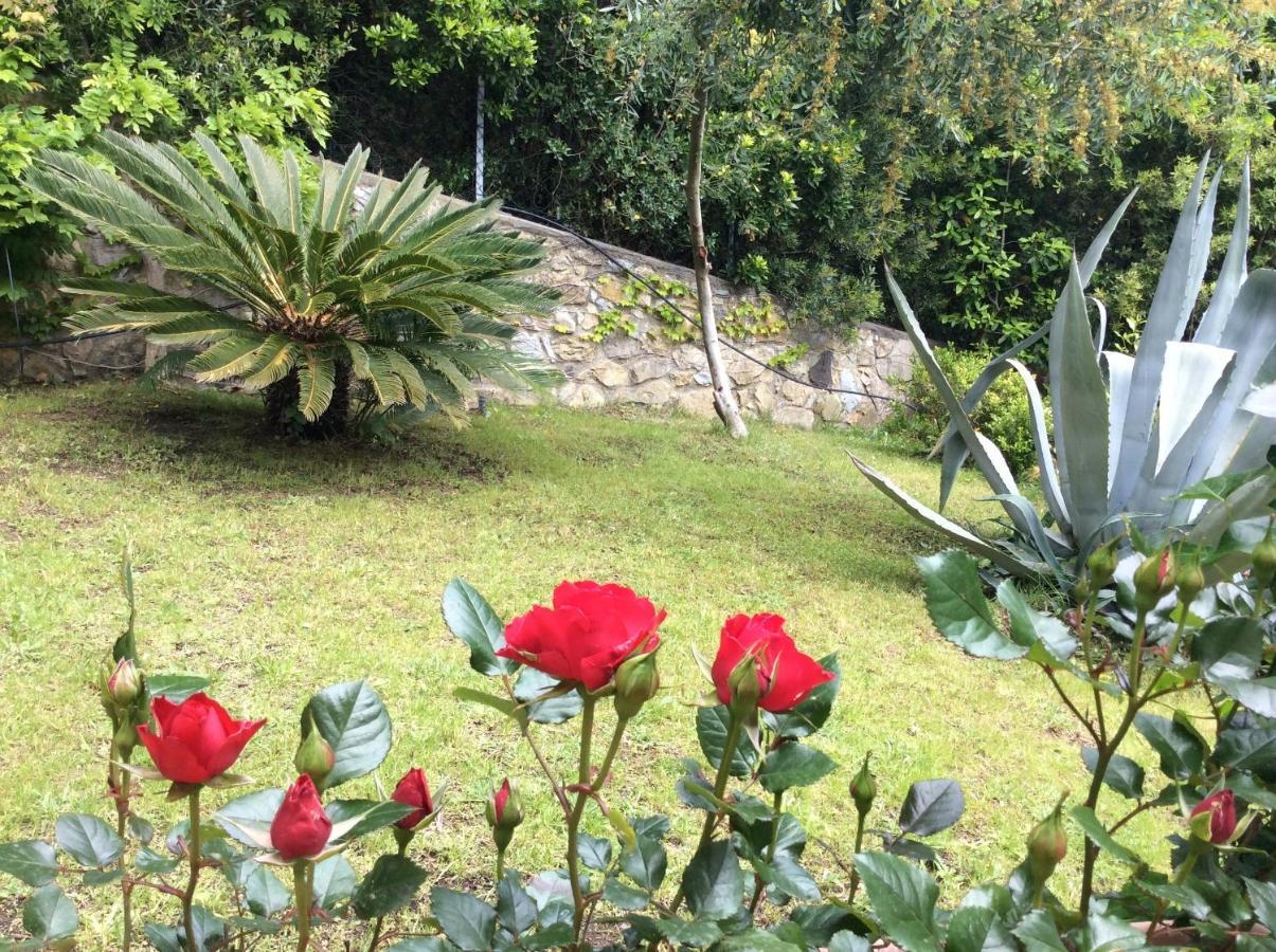 Tra Mare E Bosco Nella Splendida Quercianella Exterior foto